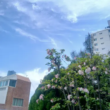 Profile image of 멜로우