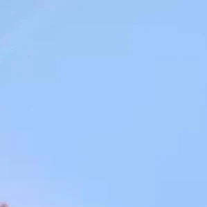유강민