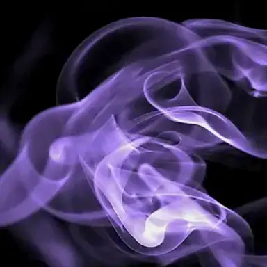 Profile image of 잠뜰