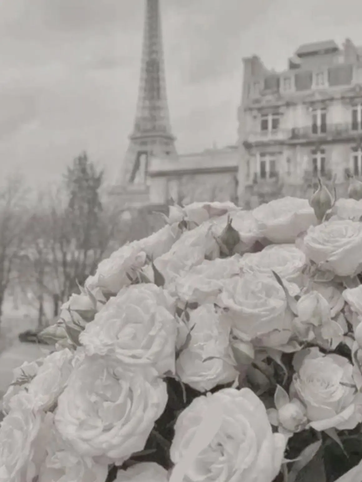 BentMarsh4101의 執事