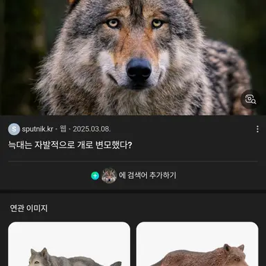 Profile image of 늑대