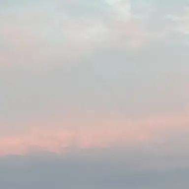 Profile image of 早見