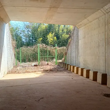 Profile image of 정형준