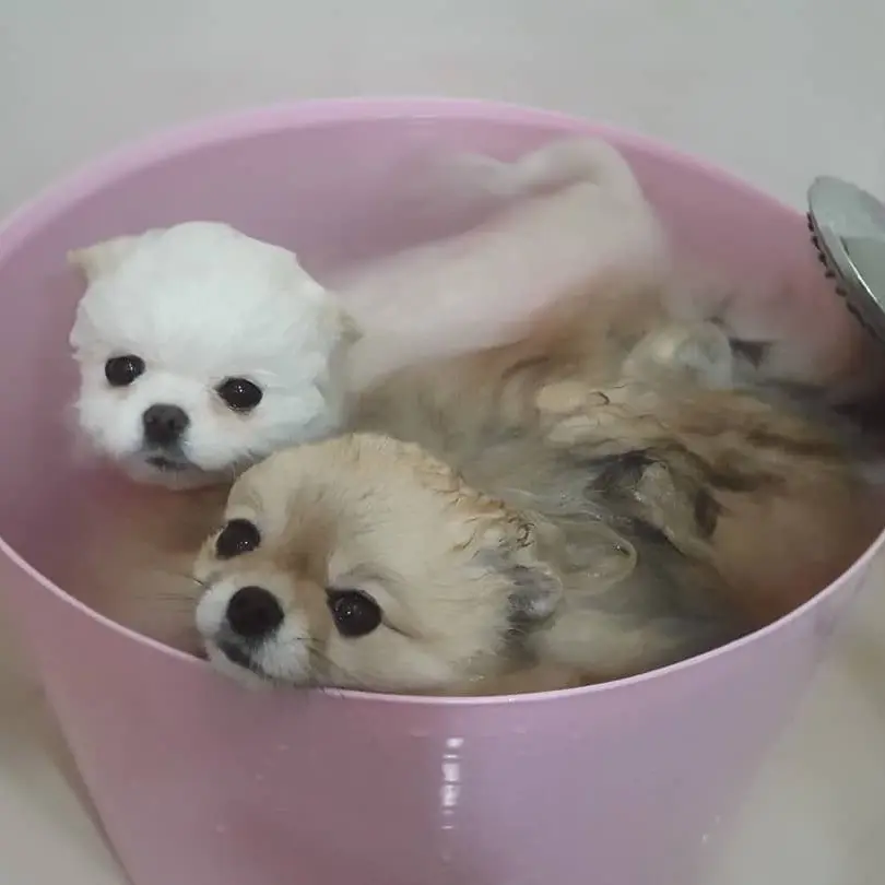 sungnyukk의 