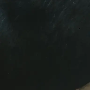 Profile image of 妖怪たち