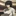 あなたの正体見極めます。