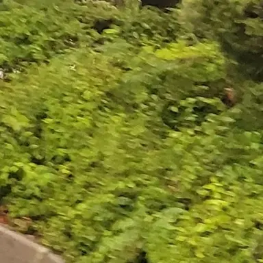 Profile image of 혈귀