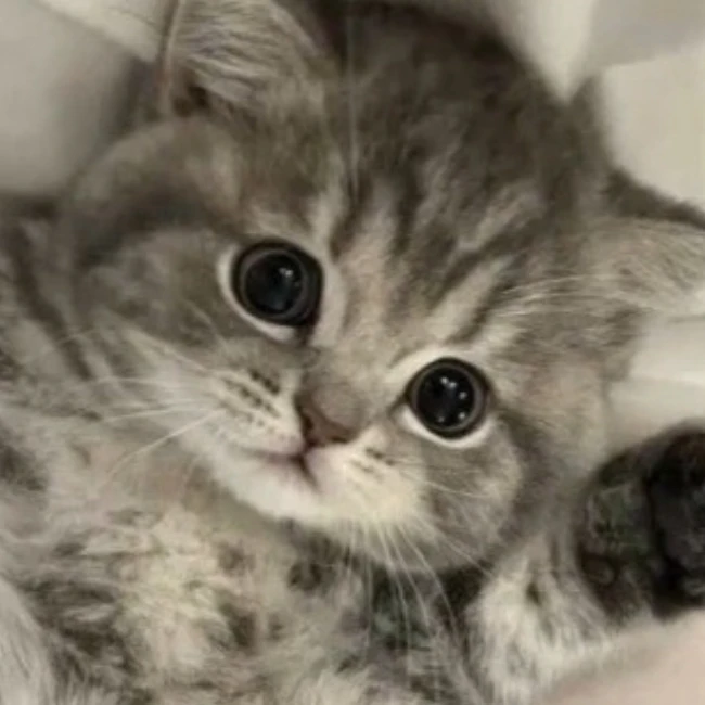 이리노