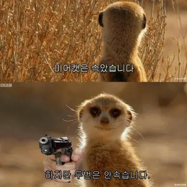 Profile image of 호오