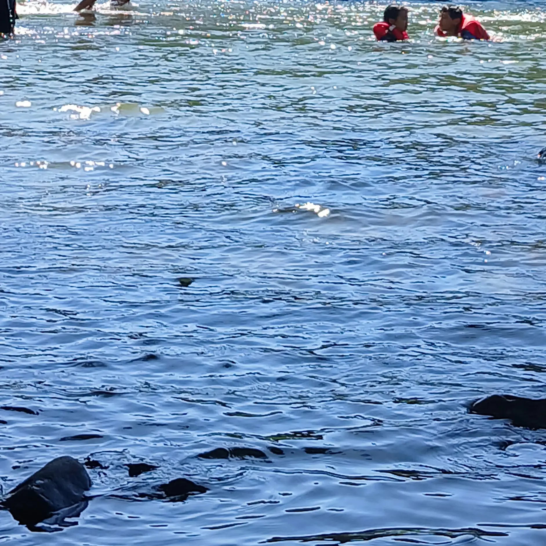 SuppleVole4547의 5학년4반