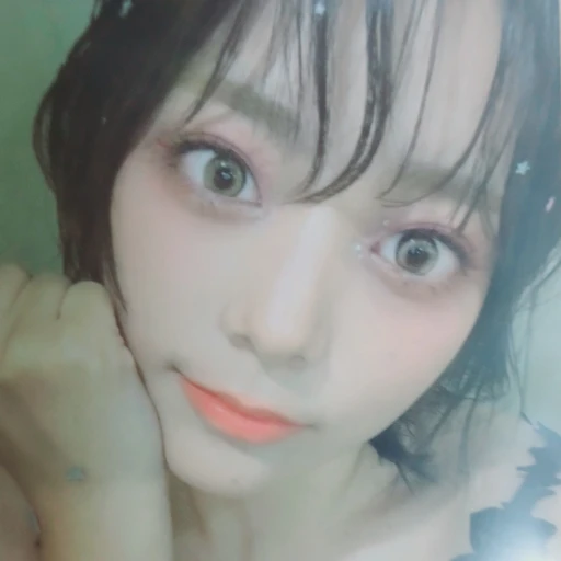 시연