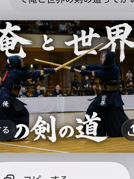 LankyGhost8285의 俺と世界の剣の道