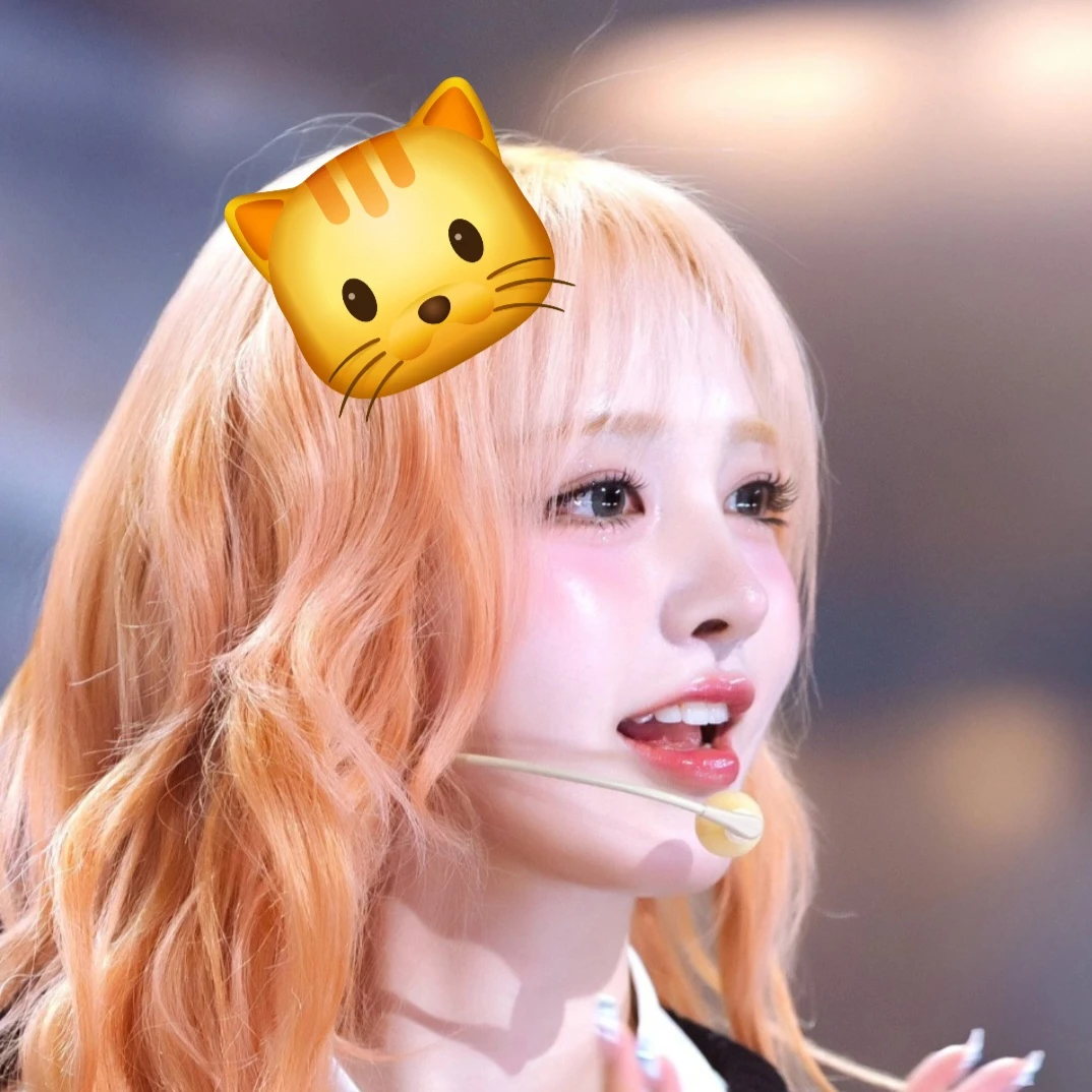리즈
