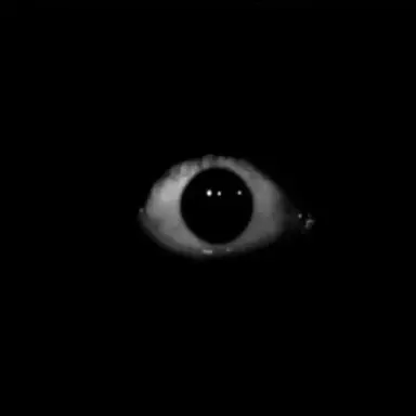 Profile image of The one