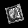 Profile image of 희동