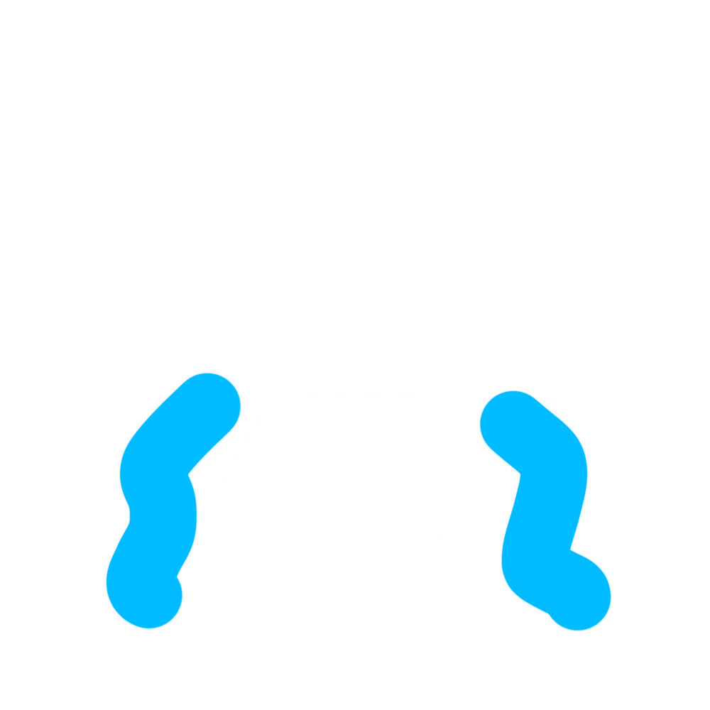 슬픈 쀄이