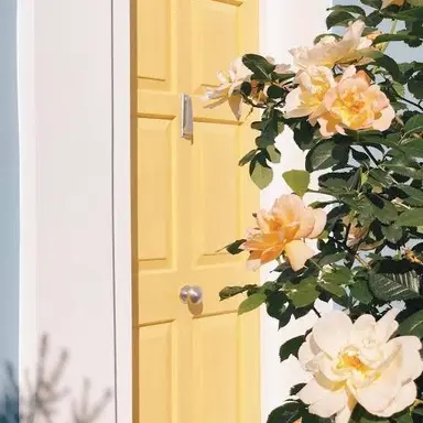 Profile image of 藤澤涼架