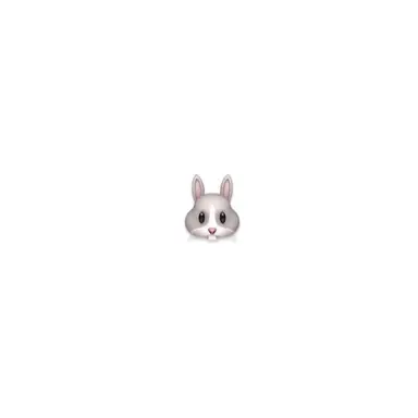 Profile image of セイト