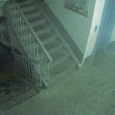 Profile image of 보고있는자