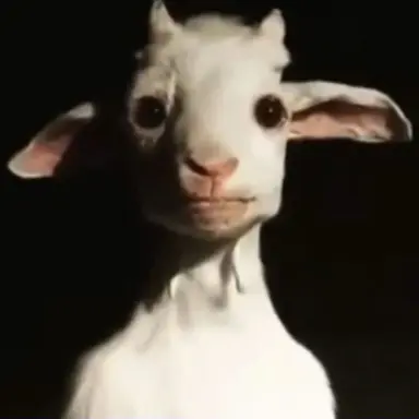 Profile image of 염소