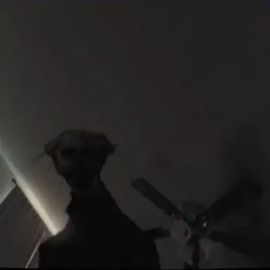 Profile image of 보일드원