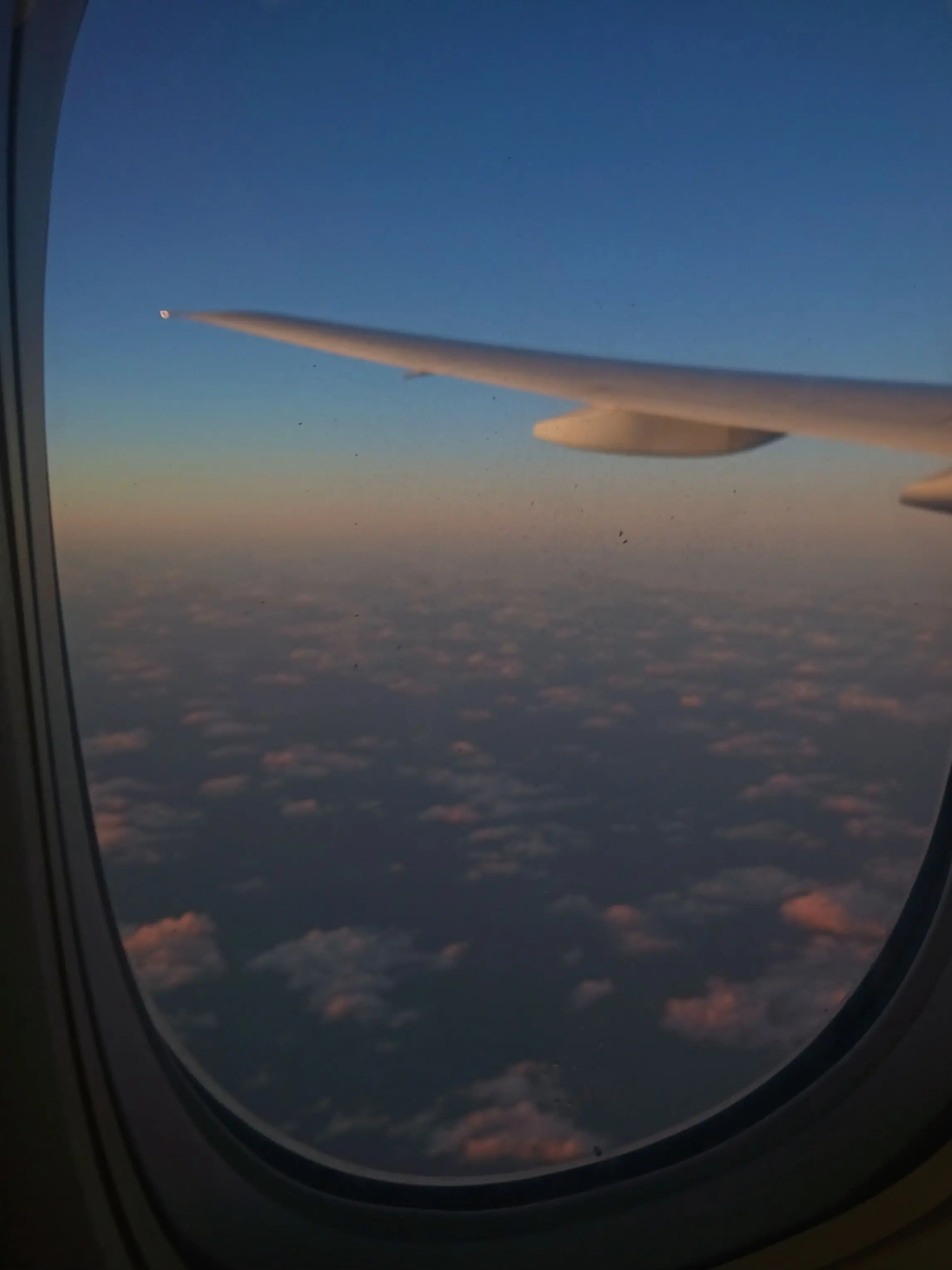 kickmixx의 하늘다람쥐수인 이동화