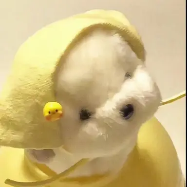 Profile image of 吉田仁人