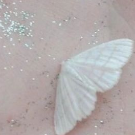 { 21세기 대군부인 } 대표 이미지