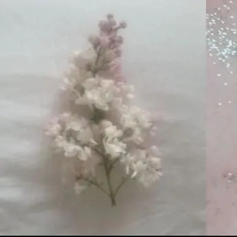 Profile image of 윤이랑