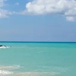 Profile image of 여학생들