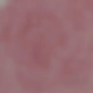 Profile image of 모카