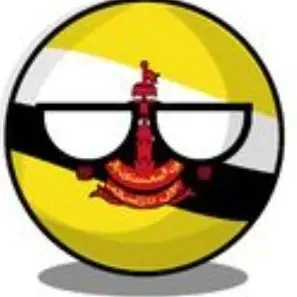 Profile image of 브루나이
