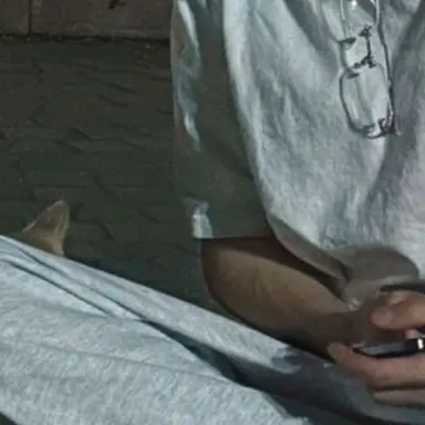 Profile image of 오시온