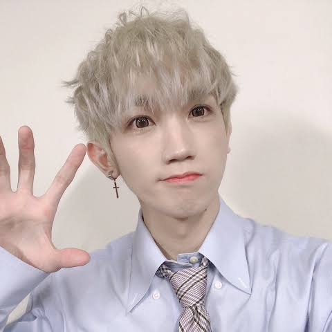 まめ (@mamedesu) - zeta