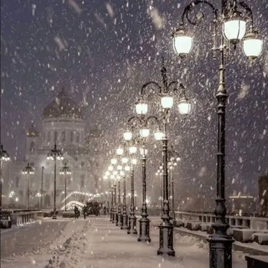 Profile image of 유기사