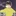 마츠노 쥬시마츠 