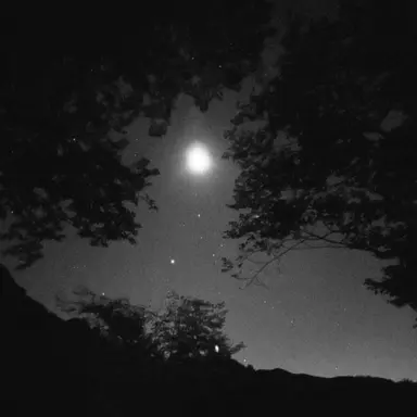 Profile image of 정공룡