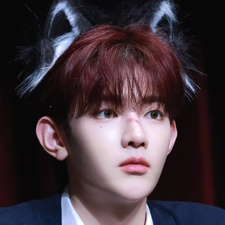 Zhanghaoo의 장하오