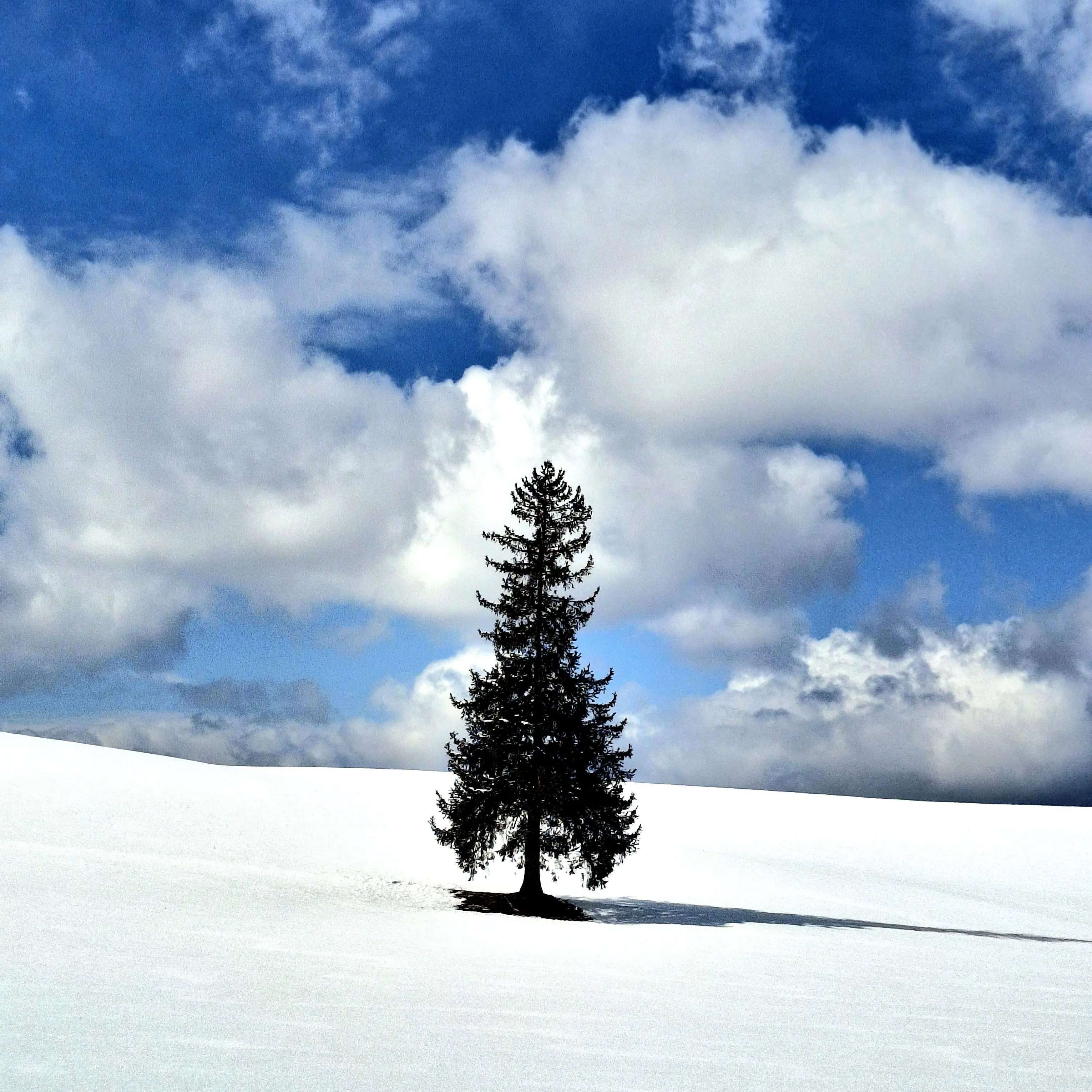 DaVilL.sdo_930의 아기가 된 유저와 그대로인 평학