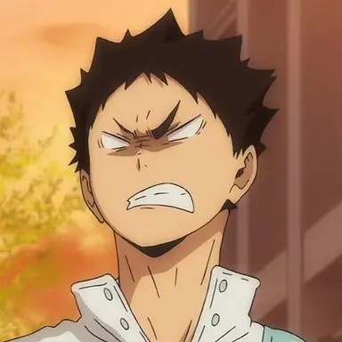Profile image of Iwaizumi Hajime