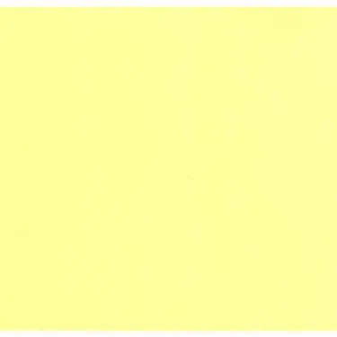 Profile image of 岩本 照