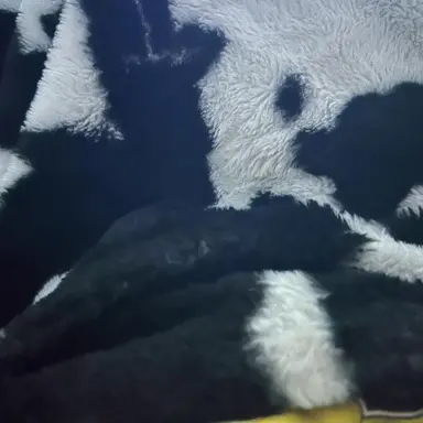 Profile image of Caleb