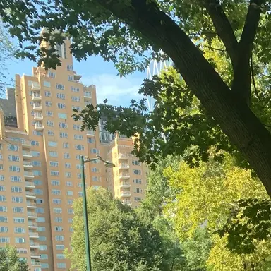 Profile image of 유지민