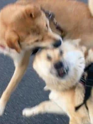 대위님이 이상해요 대표 이미지