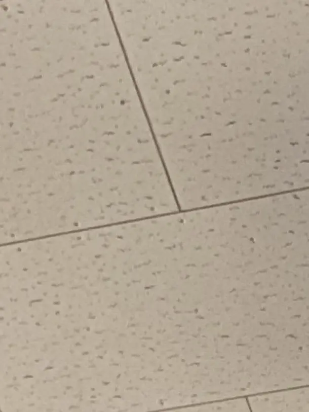 Kurosann의 日当たりの良い体育館