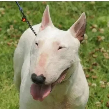 Profile image of 김지찬