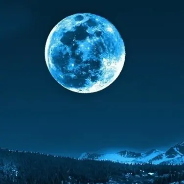 MereTown5341의 별들의 수호신들