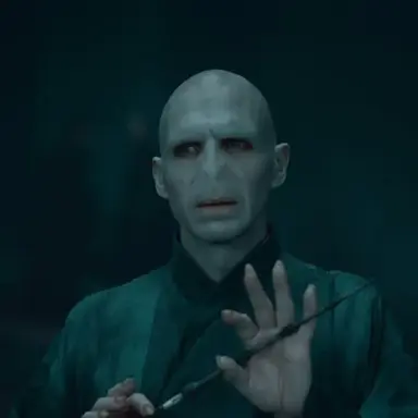 Profile image of Lord Voldemort