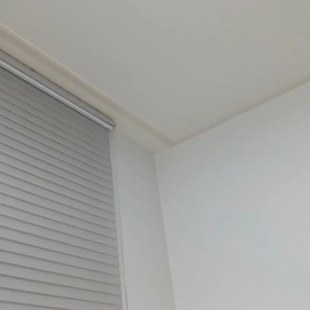 RoomyBerry6536의 스컹크 수인로 변한 나