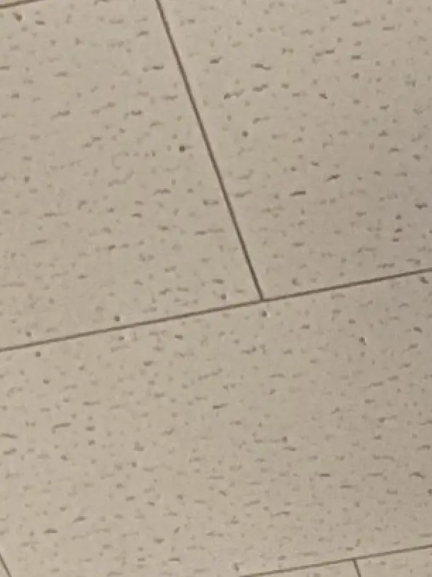 Kurosann의 食べちゃいたいな。